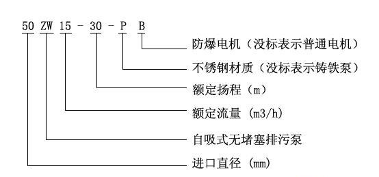 ZW型自吸式无堵塞小黄片下载安装型号意义