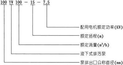 YW无堵塞液下式小黄片下载安装型号意义