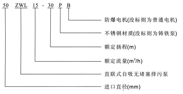 ZWL直联式自吸小黄片下载安装型号意义