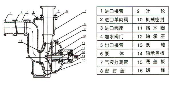 ZWP型不锈钢自吸式无堵塞小黄片下载安装（结构图）